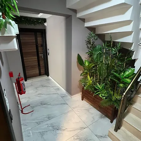 Appart hôtel Safran Buca